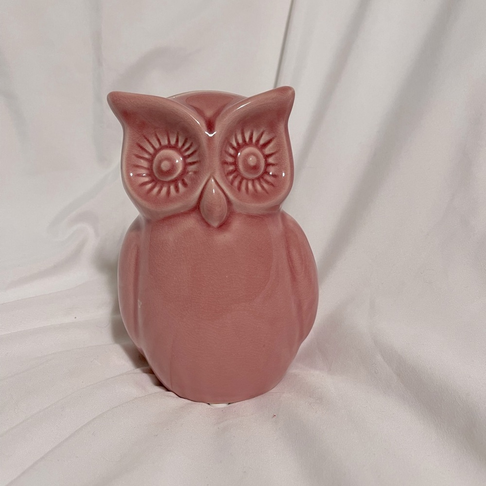 Rose pink owl decor or to put money